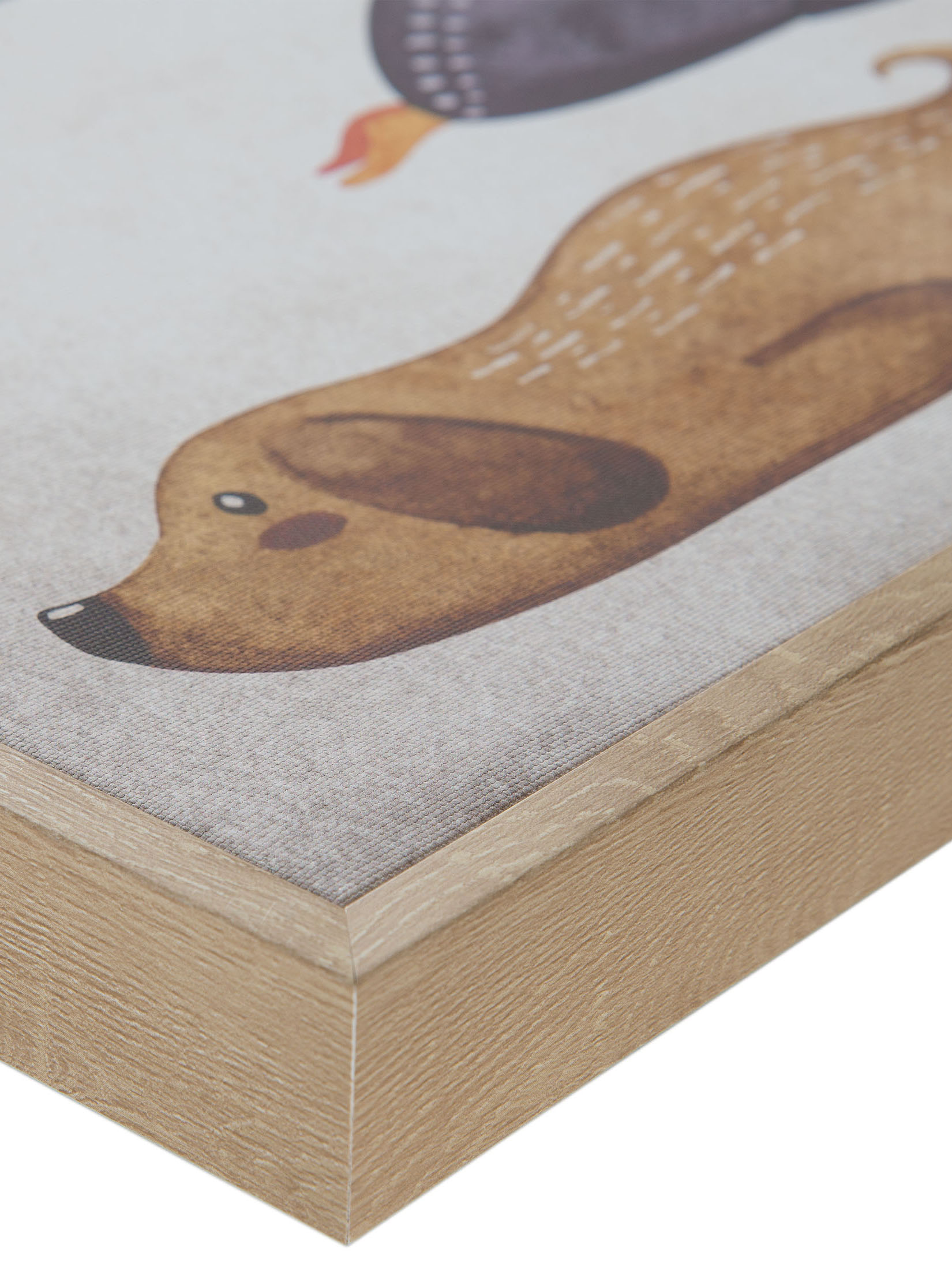 Funny Animals Leinwand-Druck-gerahmt, Multicolor