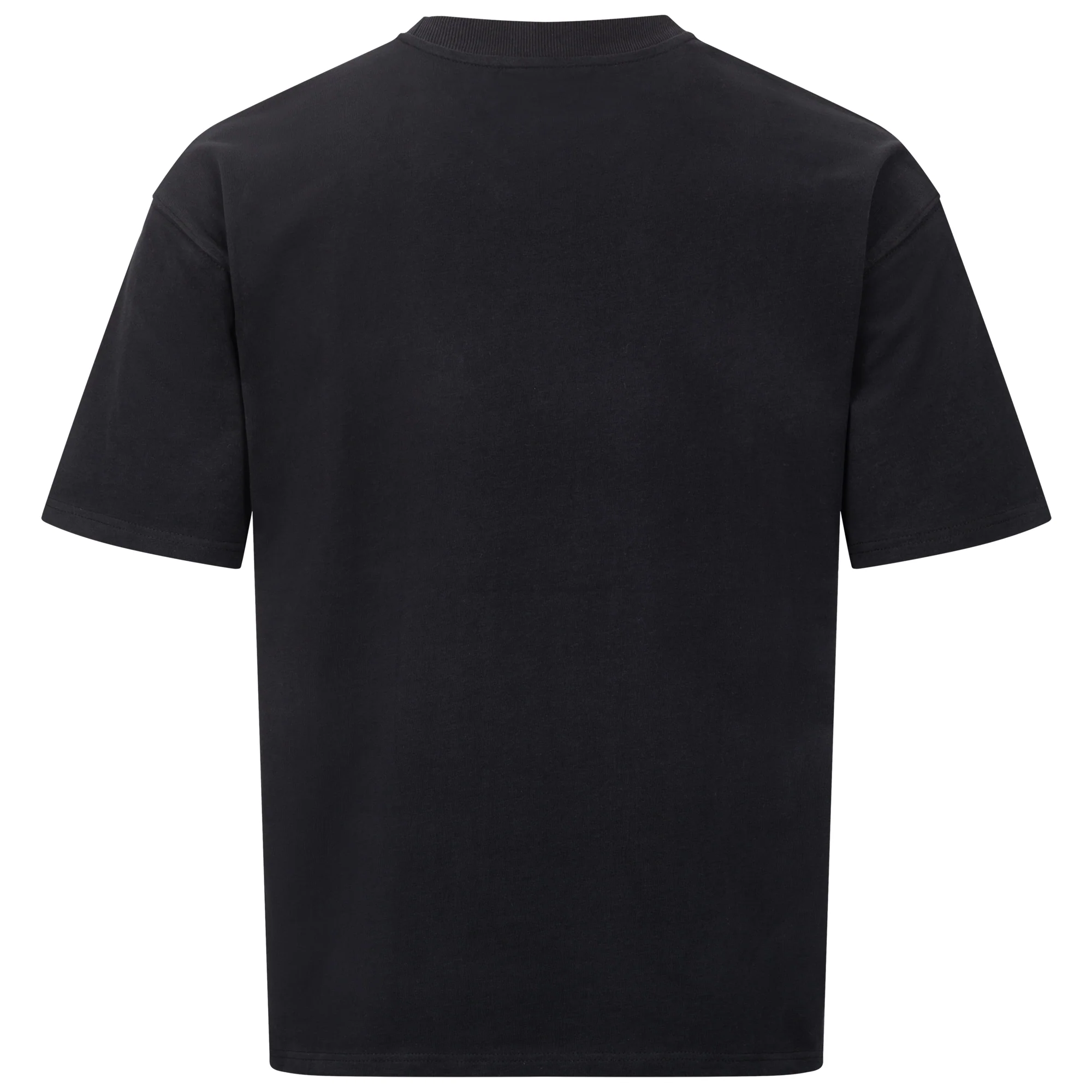 Reaching for the Stars T-Shirt