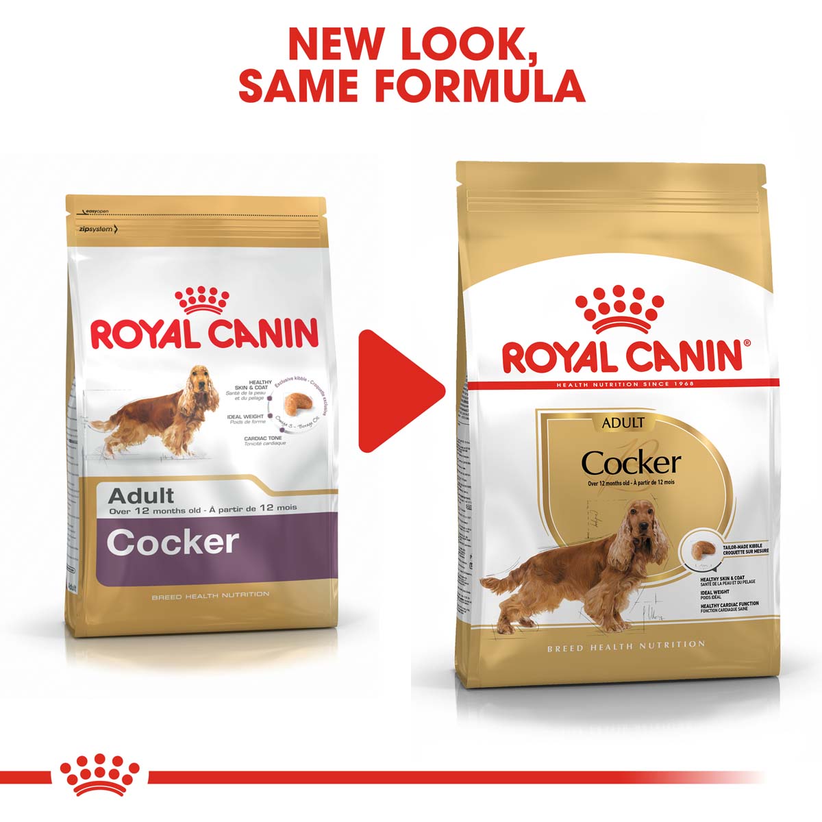 ROYAL CANIN Cocker Adult Hundefutter trocken kaufen bei ZooRoyal