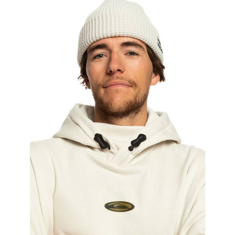 Quiksilver BIG LOGO TECH HOODIE Hoodie Herren