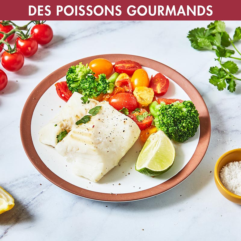 CUISEUR VAPEUR MULTIFONCTION