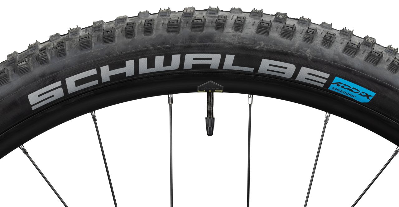 Radon Jealous AL 8.0 HD kaufen | Bike-Discount