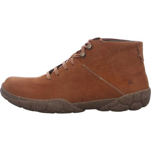 El Naturalista Turtle N5083 wood wood Pleasant