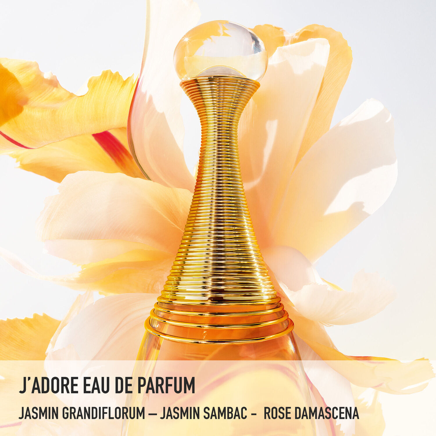 Dior J'Adore Eau de Parfum