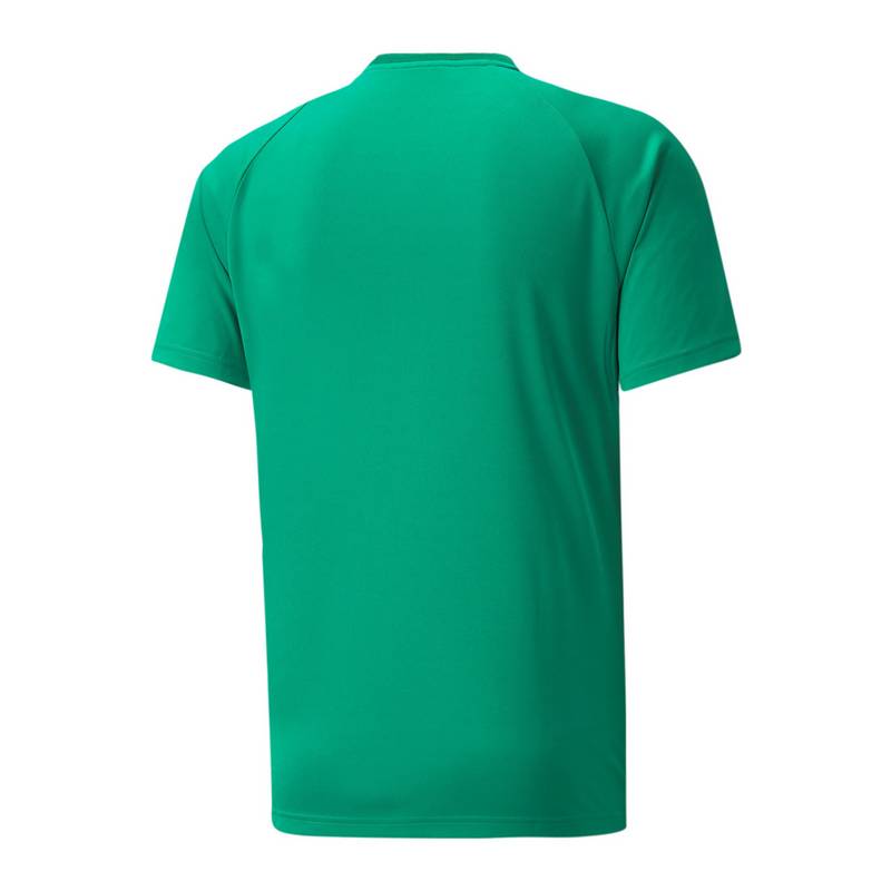 PUMA teamVISION Trikot Trikot Herren