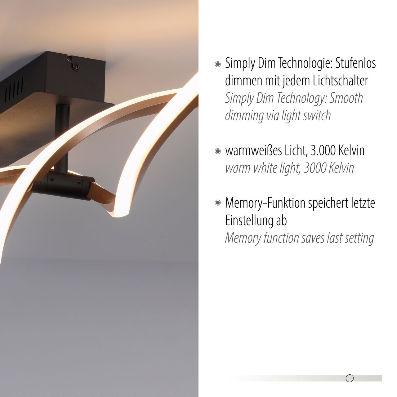 Paul Neuhaus LED Deckenleuchte POLINA, 2xLED-Board/10,20Watt, 3000 Kelvin, Schwarz