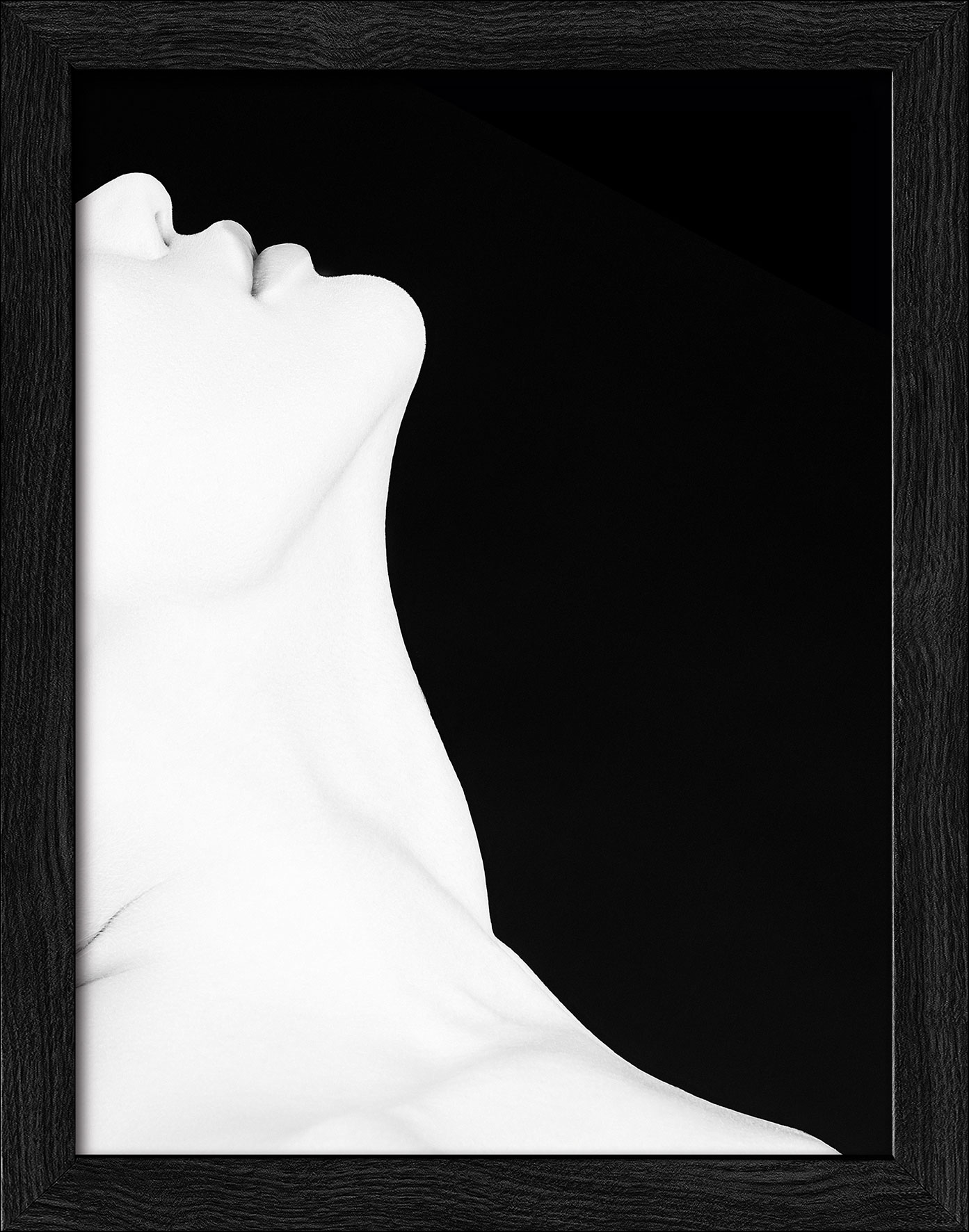 Pro ArtKunstdruck gerahmt 19x24cm