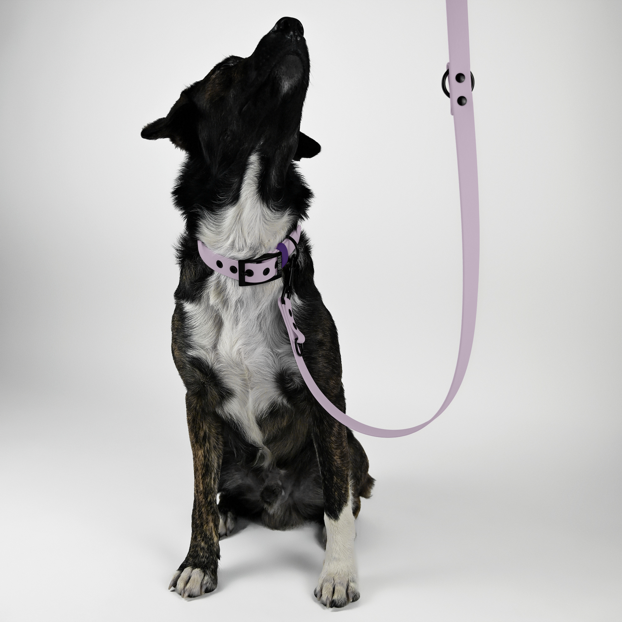 THE DOG IDEA Hundeleinen THE DOG IDEA Biothane Hundeleine Lavendel