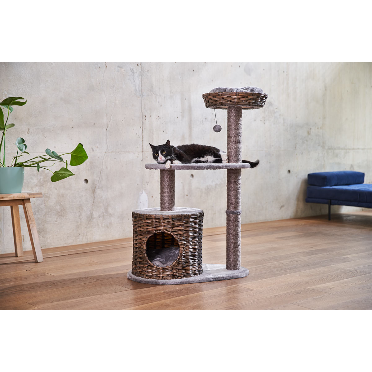 ZooRoyal Premium Kratzbaum Kuba günstig kaufen