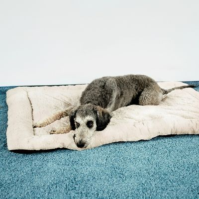 Kissen Self Heating Bed