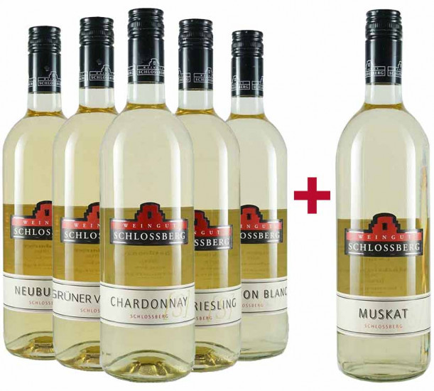 5+1 Weißwein Entdecker-Paket - Weingut Schlossberg