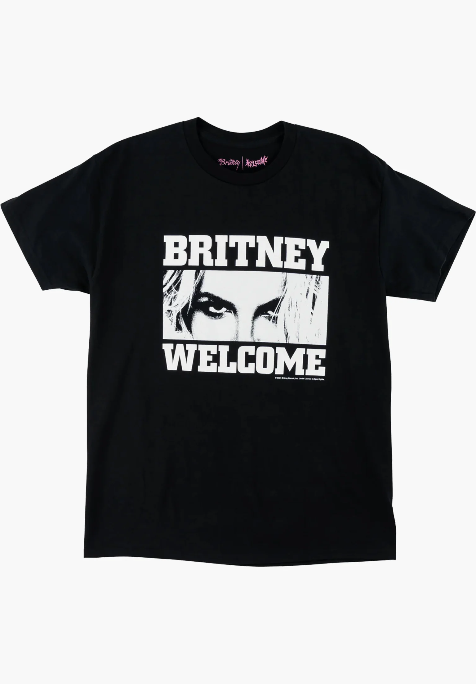 x Britney Spears Till The World Ends