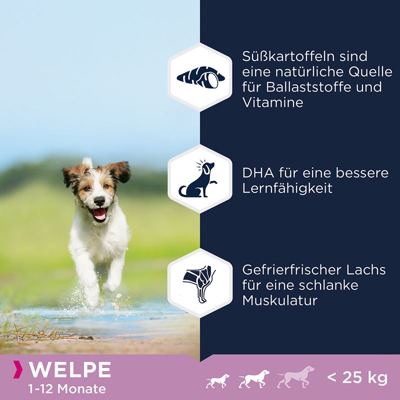 Eukanuba Grain Free Puppy Small / Medium Breed Lachs | bitiba %
