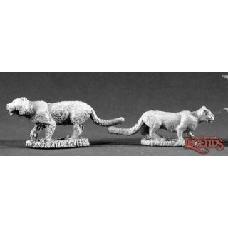 Ferocious Felines