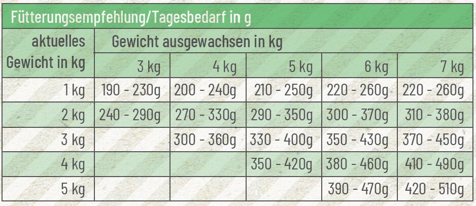 Fellicita Nassfutter Fellicita Rind pur für Kitten 6x 400g
