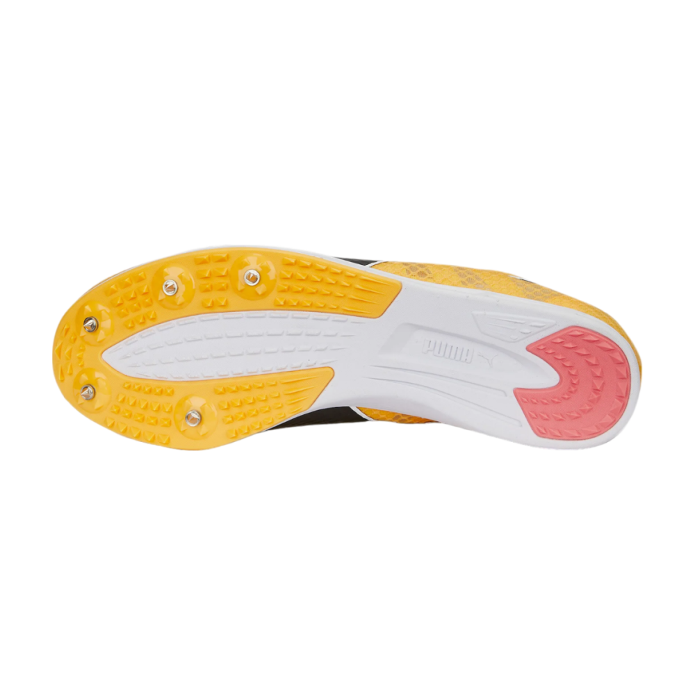 PUMA evoSPEED Distance 11 377961/001 / orange