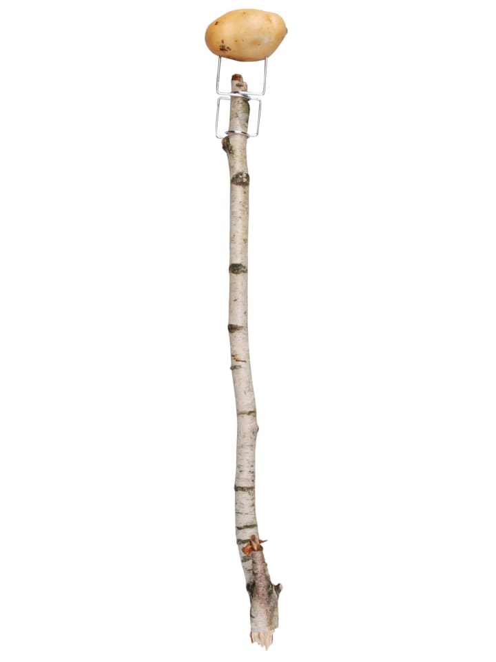 Esschert Design Lagerfeuer-Grillspieß in Silber günstig kaufen onesize