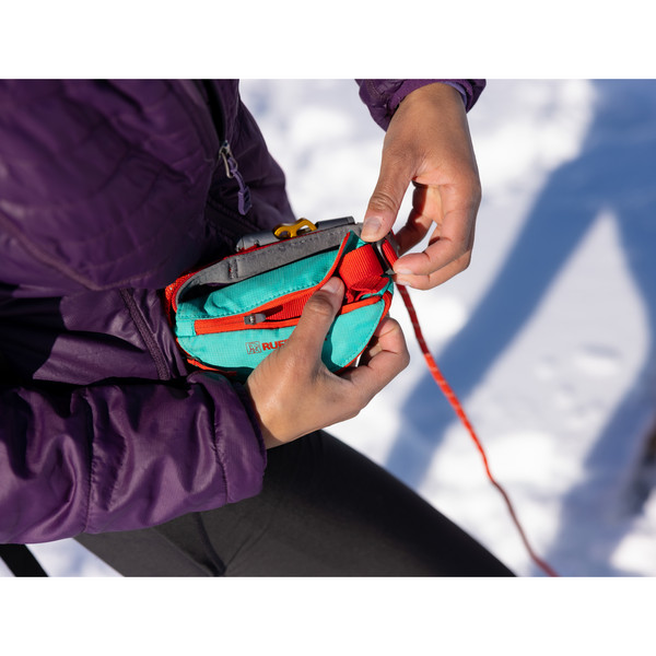 HITCH HIKER LEASH - Hundezubehör