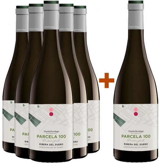 5+1 Paket Top-Lage: Parcela 100 