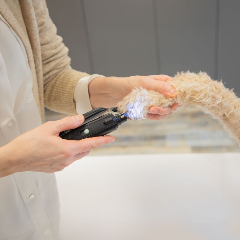 kooa 2-in-1 Krallenschere und -Schleifer mit LED