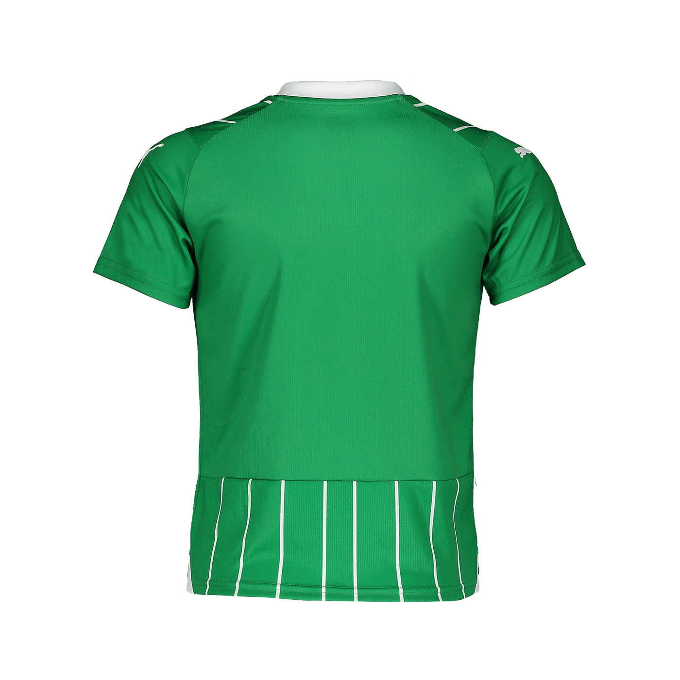 PUMA Trikot Kids Grün F01