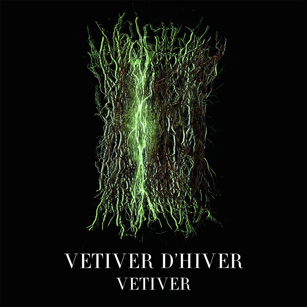 Vétiver D'Hiver
