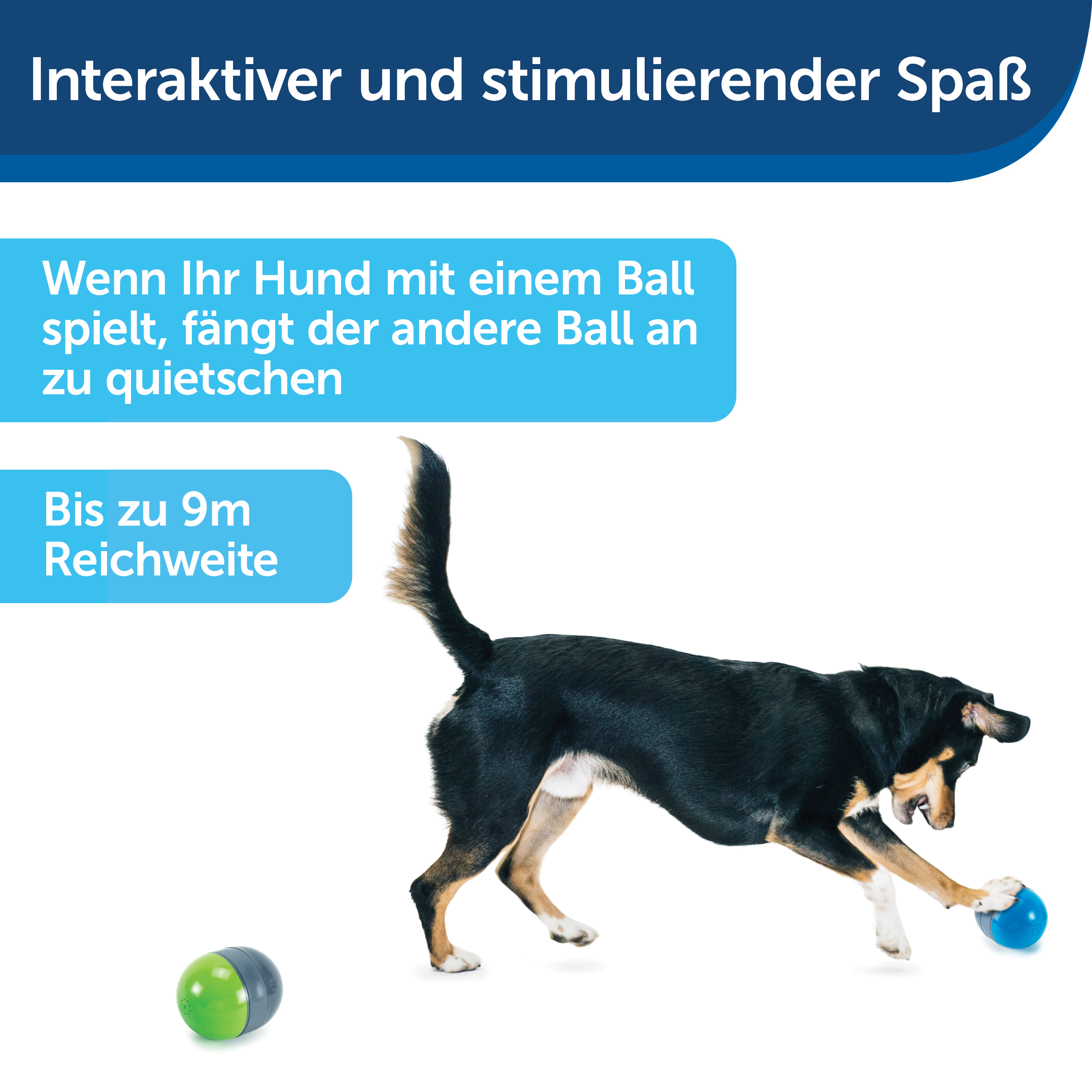 PetSafe Intelligenzspielzeug PetSafe Elektronisches Hundespielzeug Ricochet