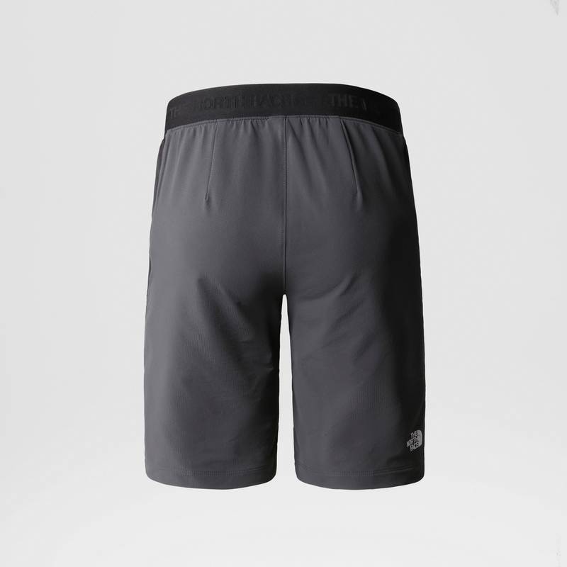 The North Face STOLEMBERG Funktionsshorts Damen