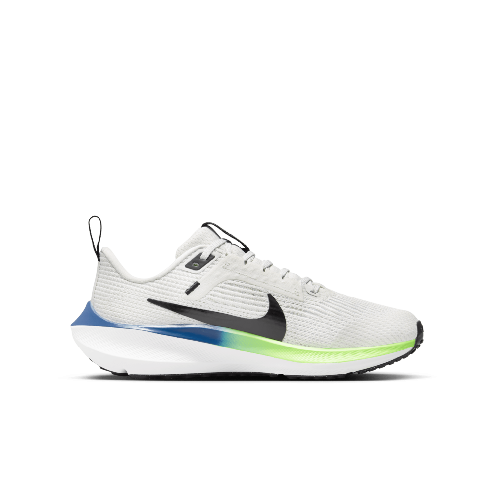 Nike Air Zoom Pegasus 40 DX2498-006 / grau