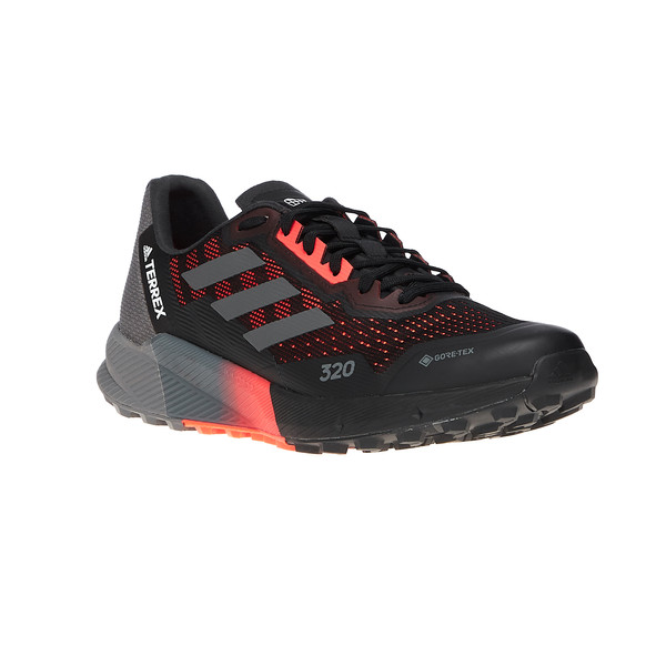 TERREX AGRAVIC FLOW 2 GTX Herren - Trailrunningschuhe