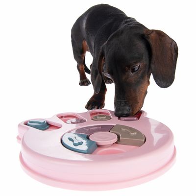 Intelligenzspielzeug Snack Paw