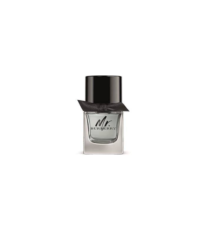 MR.BURBERRY-Eau de Toilette Vaporisateur