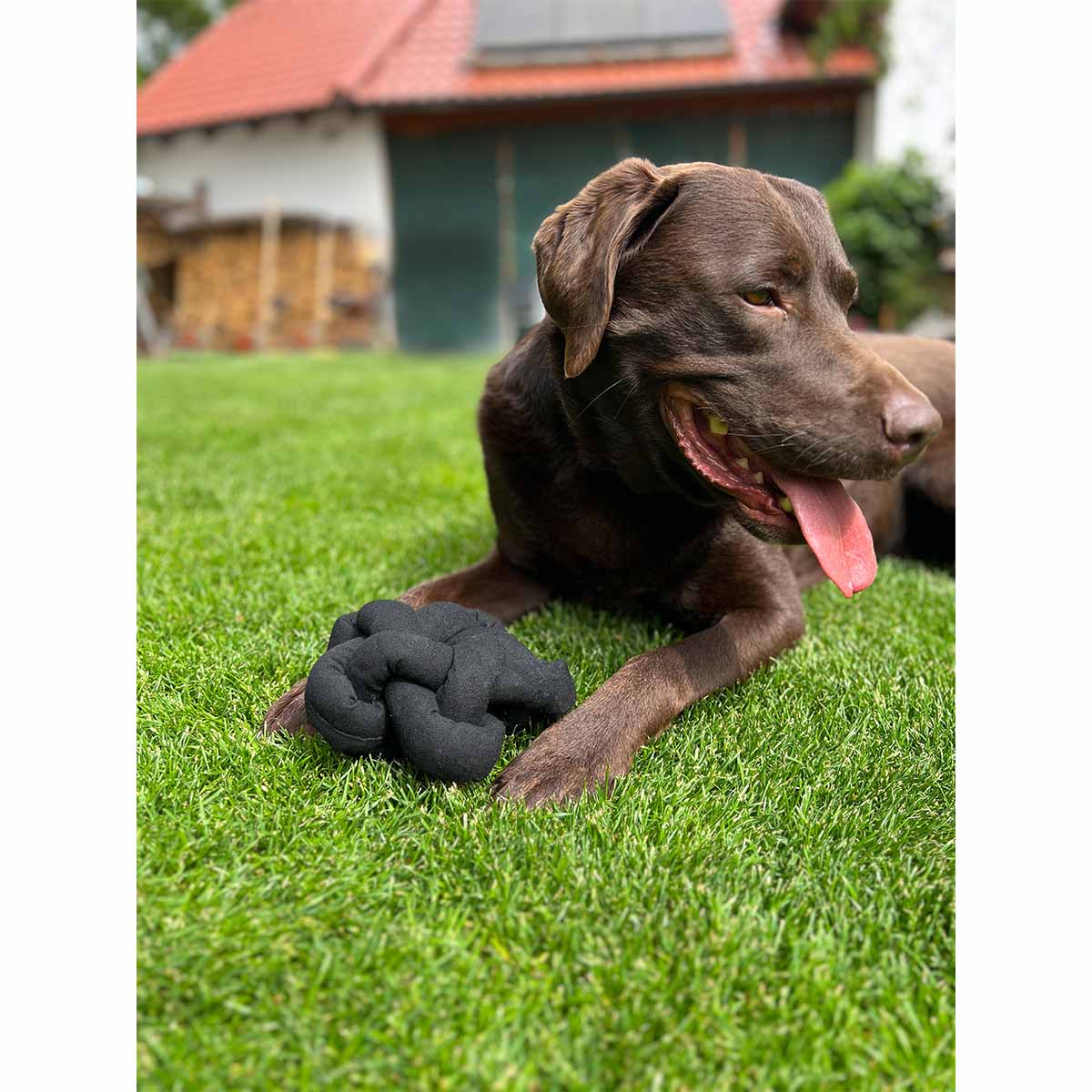 Aumüller Knoten Hundespielzeug schwarz kaufen bei ZooRoyal