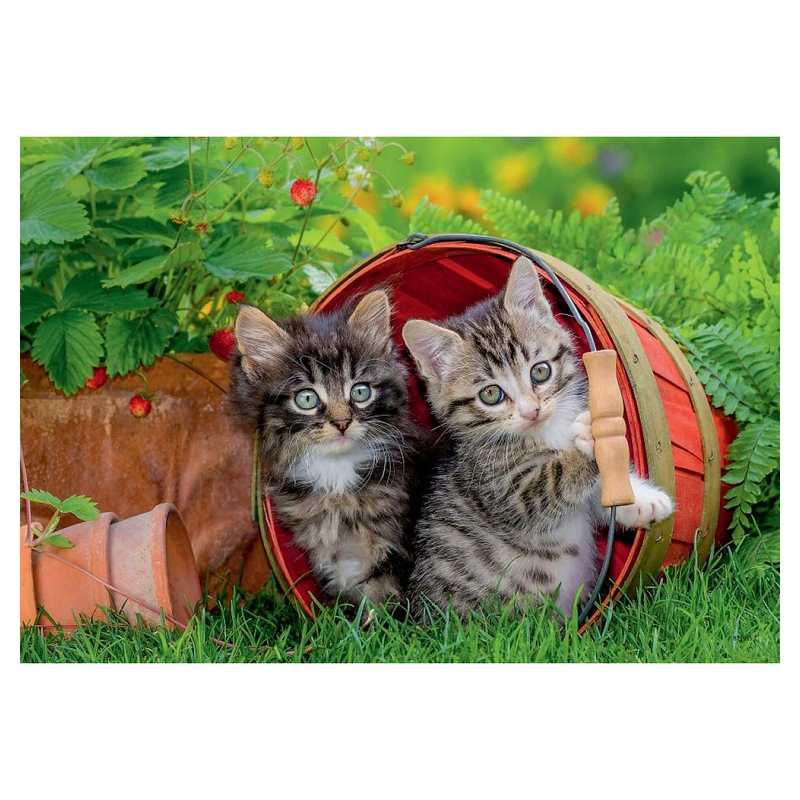 Puzzles la découverte des chats 2x 12 pièces