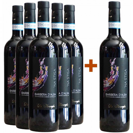 5+1 Paket 