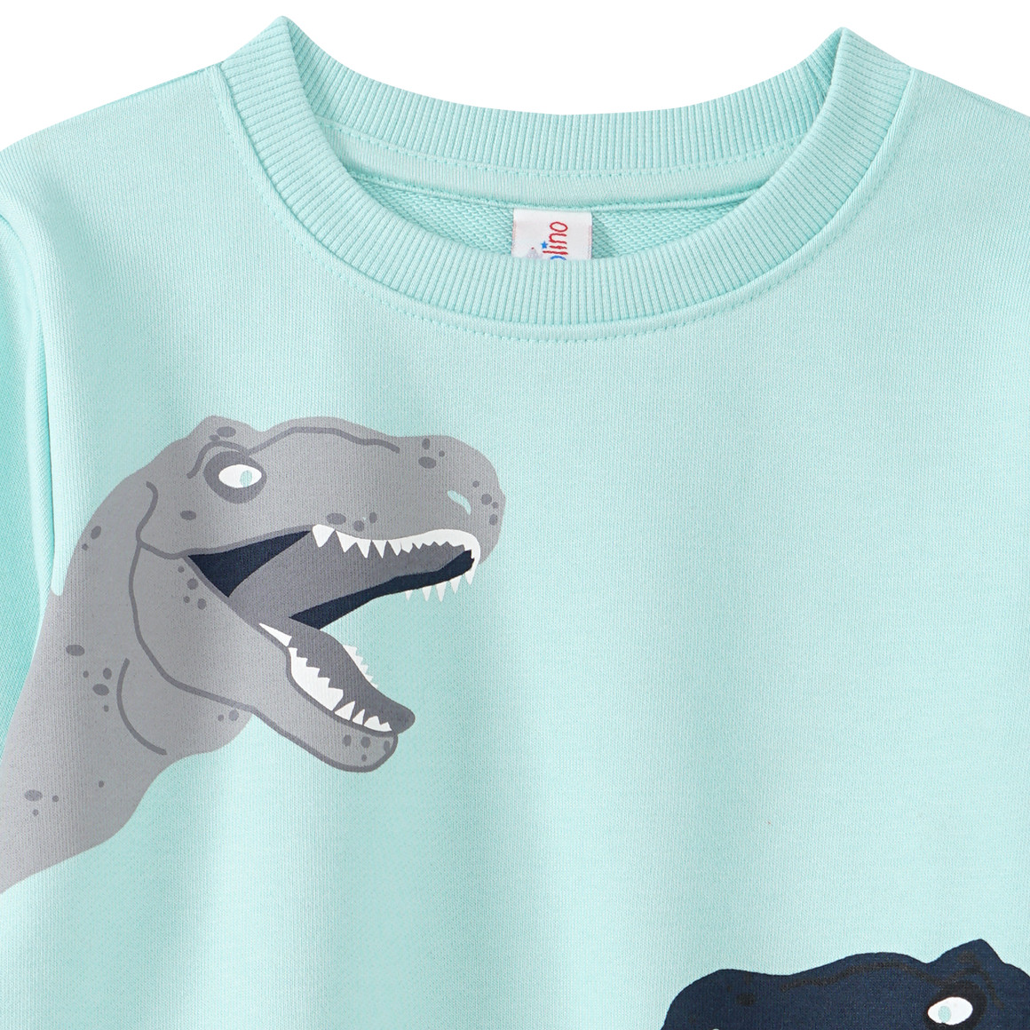 Jungen Sweatshirt mit Dino-Prints