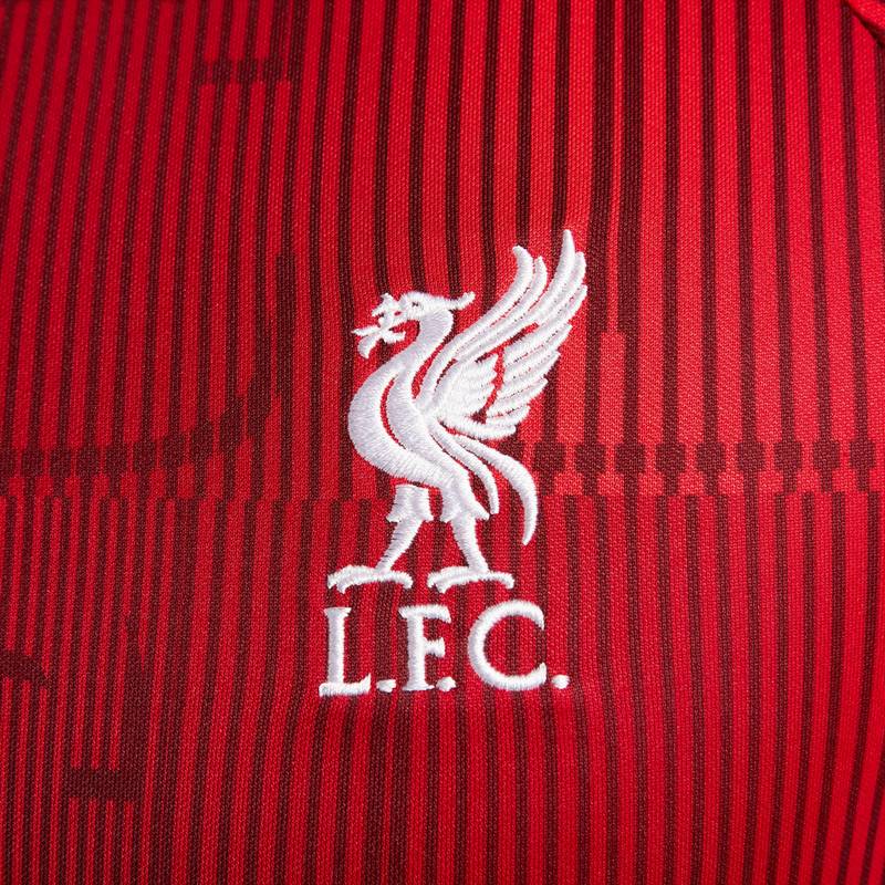 Nike FC Liverpool Prematch Funktionsshirt Herren