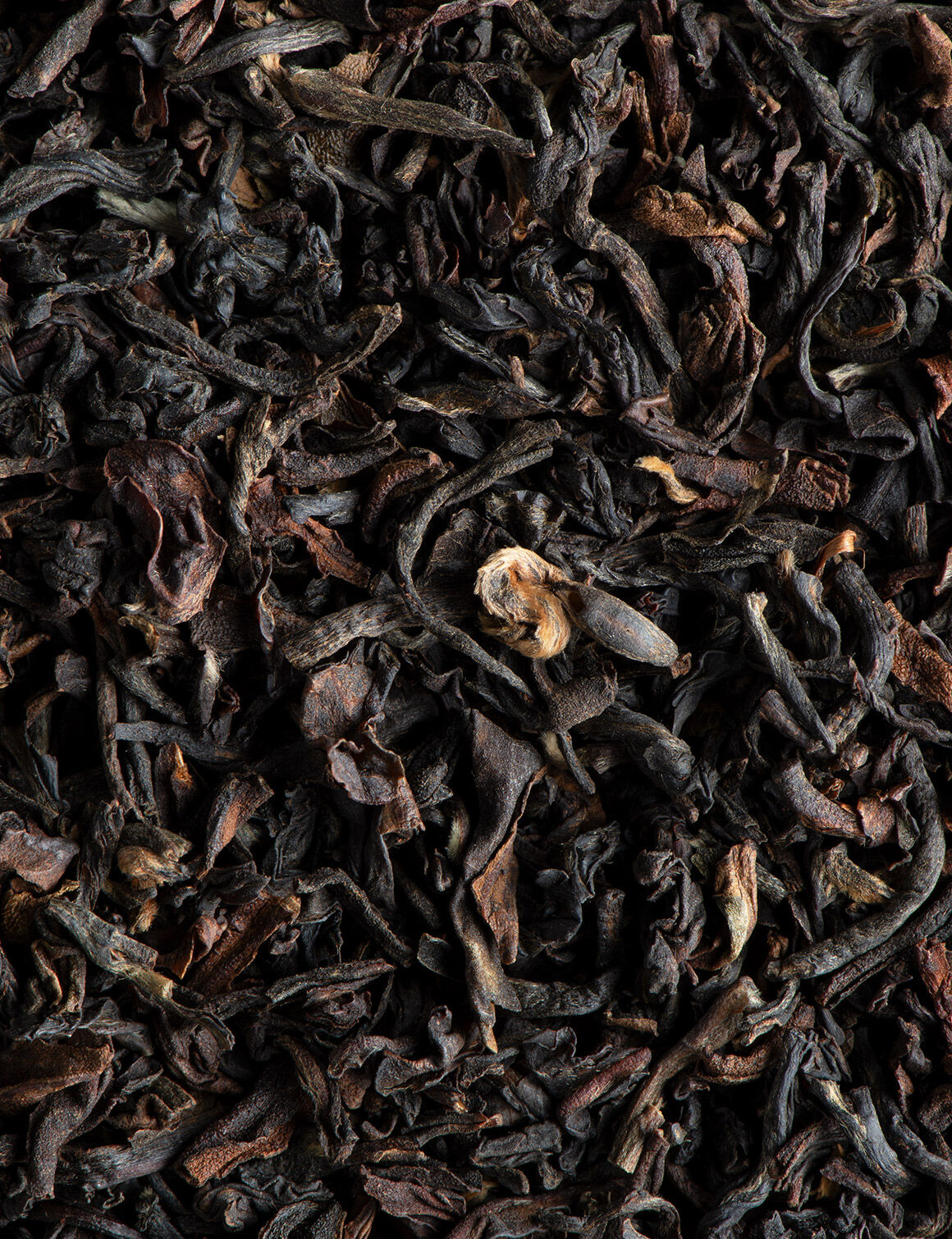 Thé noir Darjeeling BIO-24 sachets enveloppés
