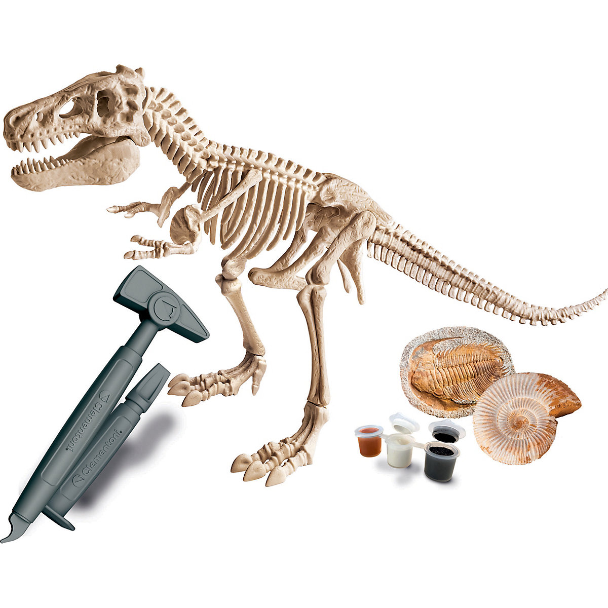 Galileo Discovery - Ausgrabungs-Set T-Rex & Fossil Modellier-Set