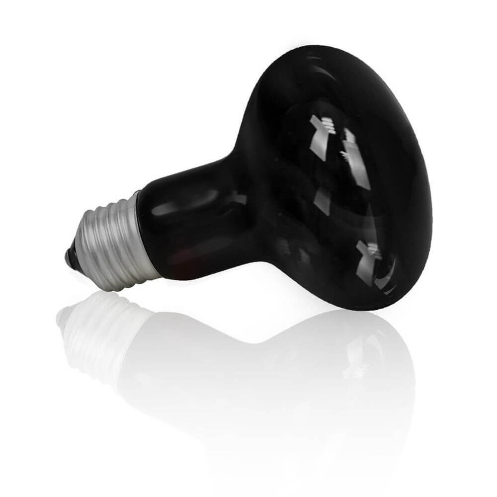 Happet Terrarienleuchte Terrarium Wärmelampe Schwarzlicht Nachtlicht 60 100 Watt Mondlicht