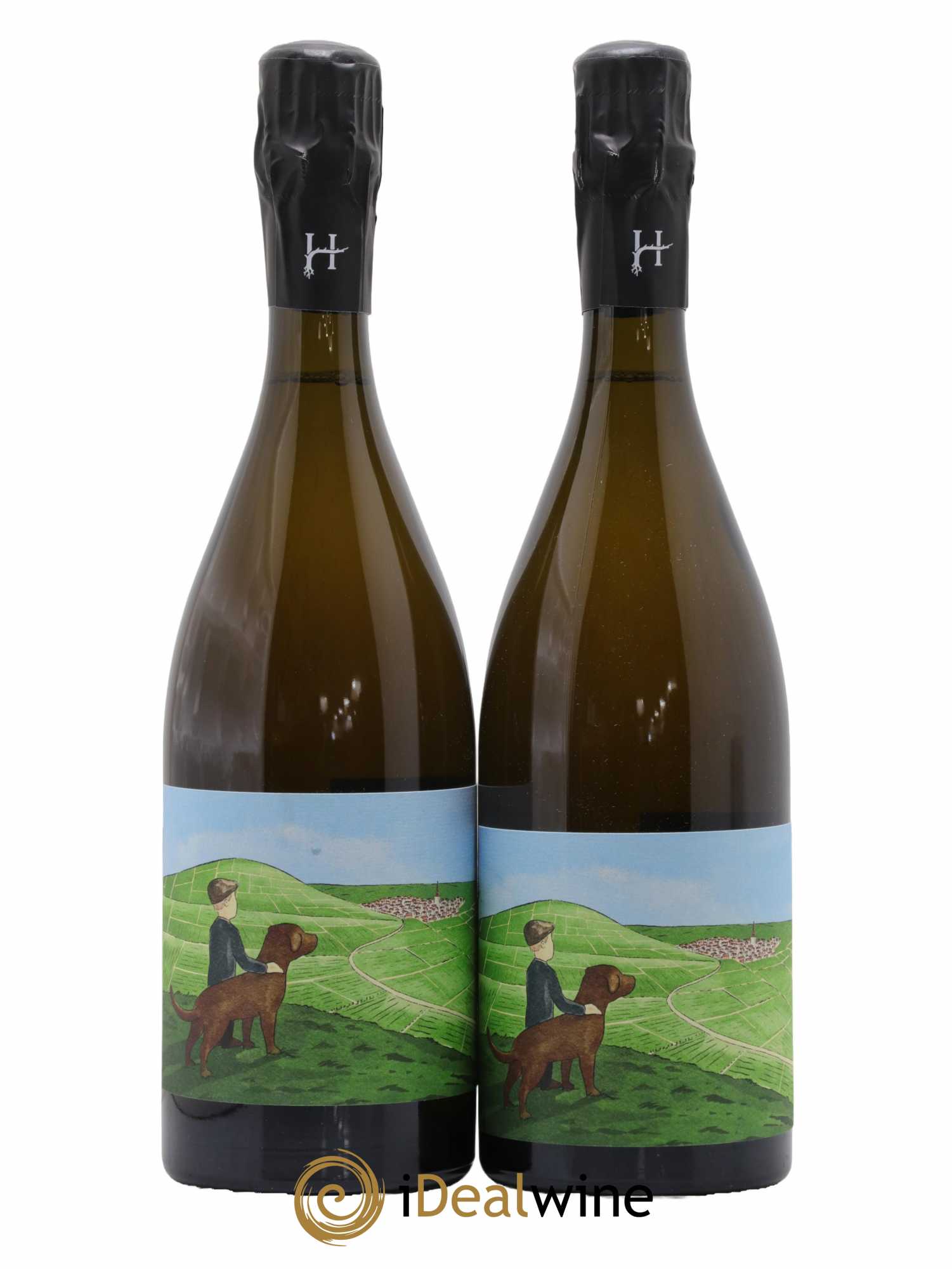 Gamin du Terroir Romain Henin  2021 - Lot de 2 Bouteilles