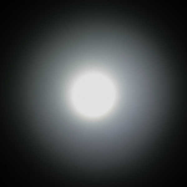 NU31