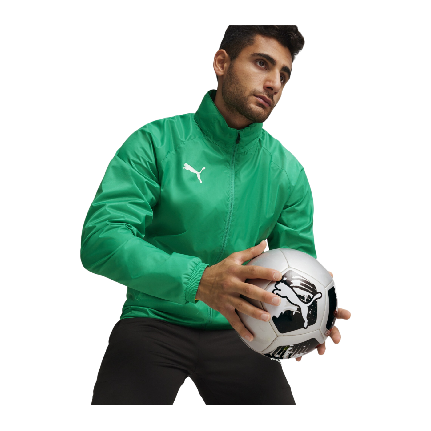 PUMA teamGOAL Allwetterjacke Grün Weiss F05