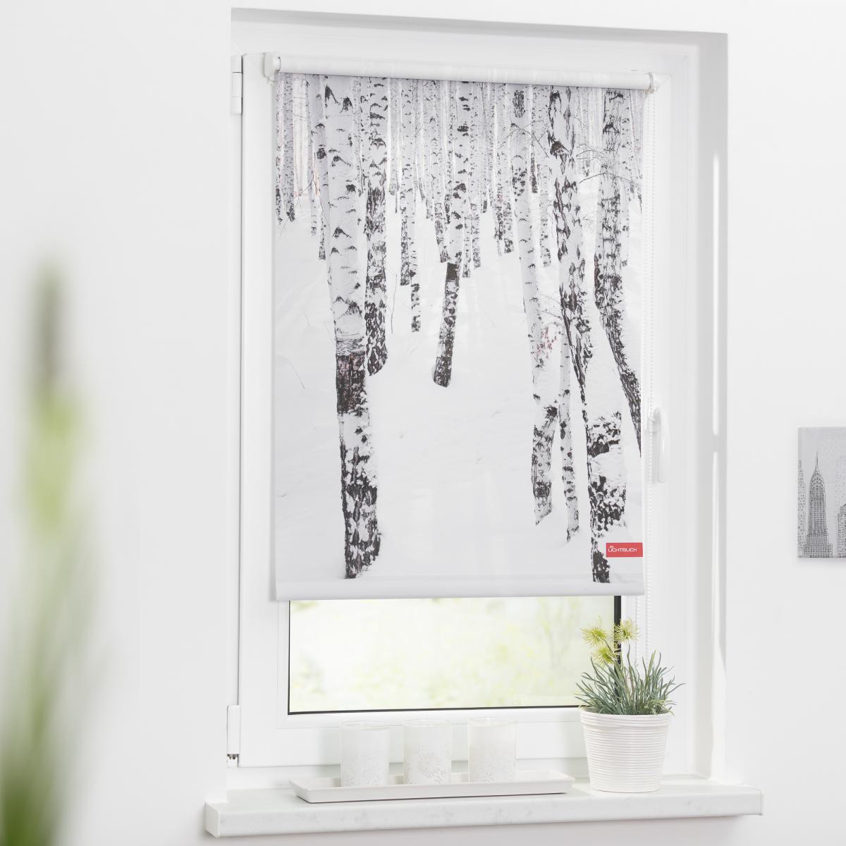 Lichtblick Rollo Klemmfix, ohne Bohren, blickdicht, Birkenwald - Weiß, 100 x 150 cm (B x L)