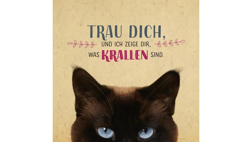 Die ganze Wahrheit über deine Katze