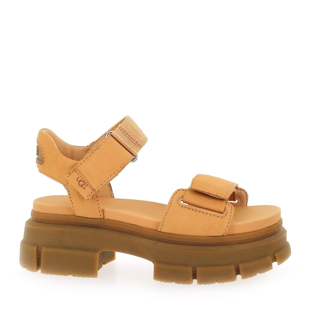 UGG  W ASHTON ANKLE - Camel
