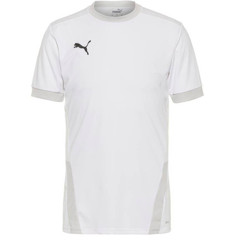 PUMA teamGOAL 23 Funktionsshirt Herren