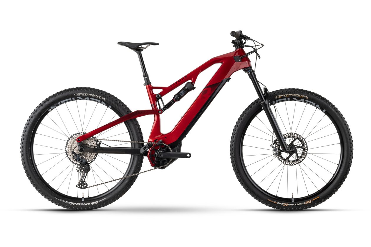 Raymon AirRay 10.0 - 500 Wh - 2023 - 29 Zoll - Fully
