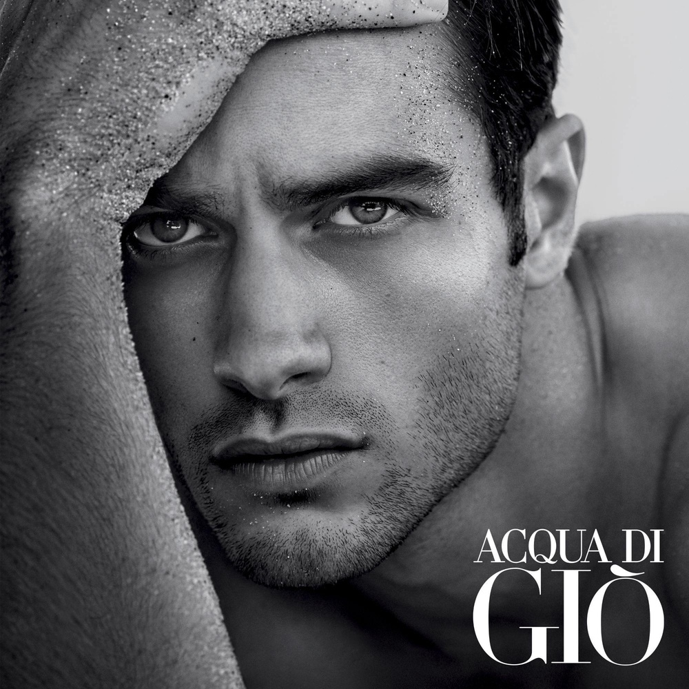 Giorgio Armani Acqua di Giò Eau de Toilette