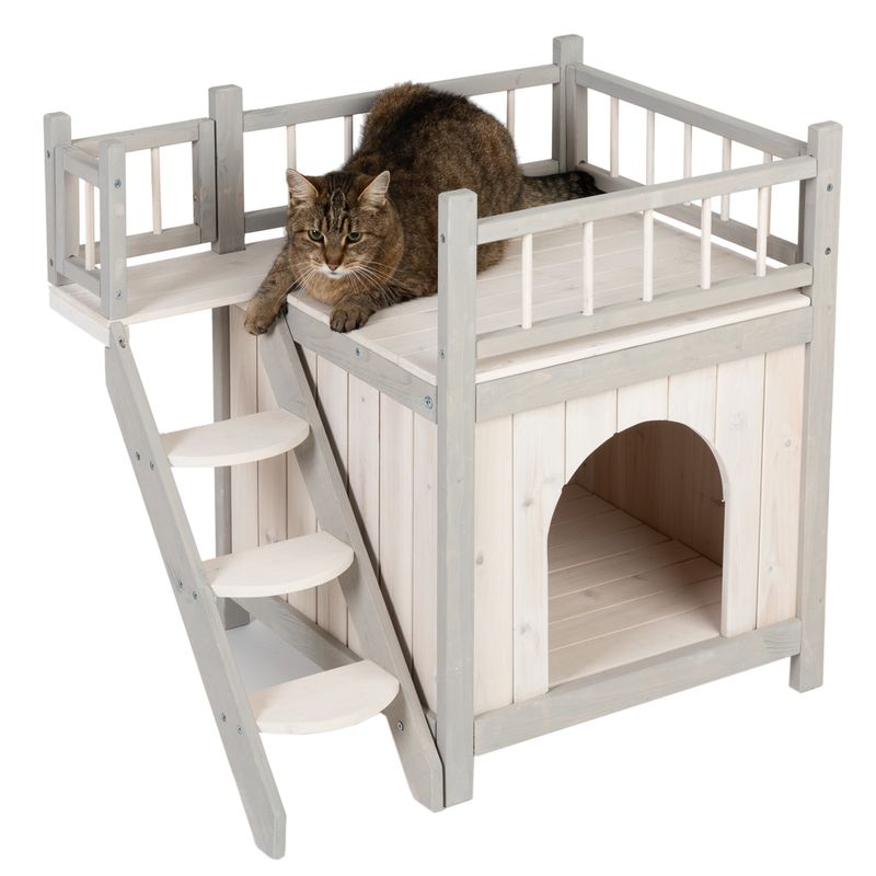 Katzenhaus Prince zu TOP-Preisen
